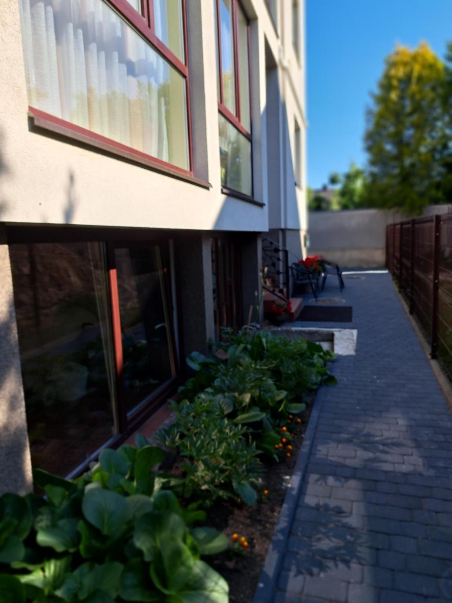 Vila Uosis Παλάγκα Εξωτερικό φωτογραφία